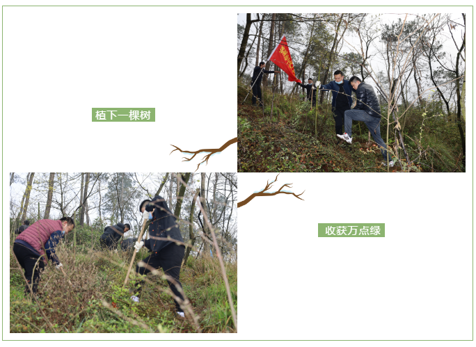 QQ图片20210315100611.png